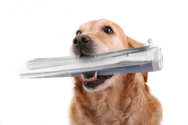 Переживший покушение генерал Алексеев пришел в сознание