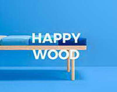 В аэропортах Домодедово и Жуковском сняты ограничения