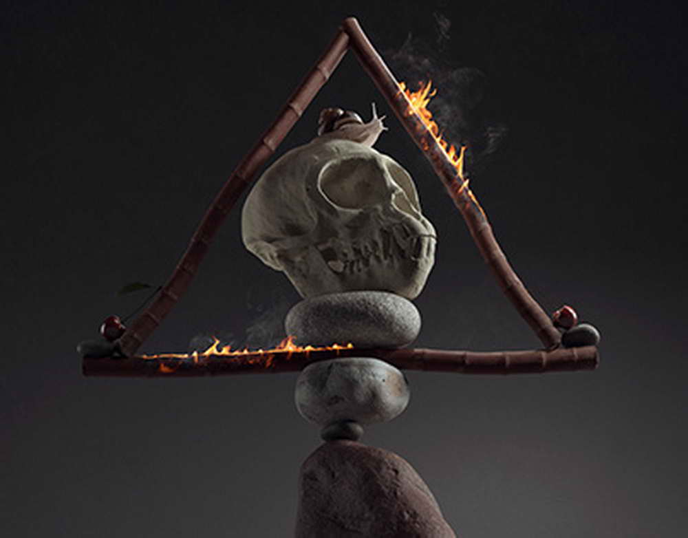 Выпуск свободной системы 3D-моделирования Blender 5.0